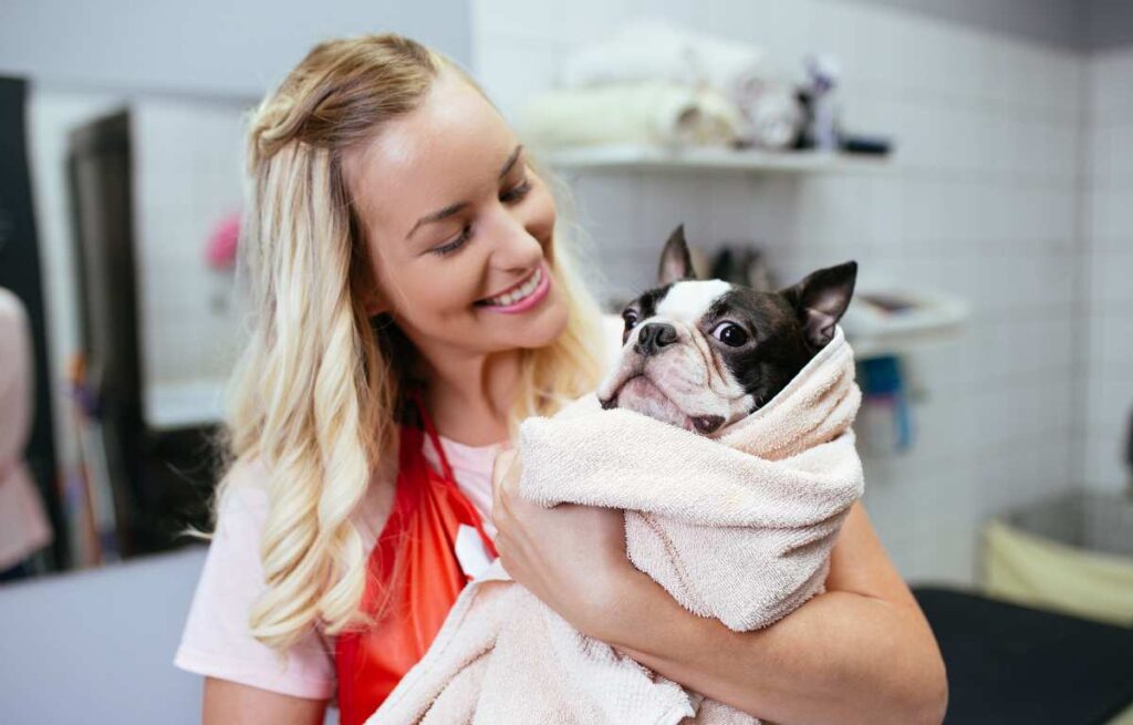 400+ Pet Grooming Salon Name Ideas for Your Good Business