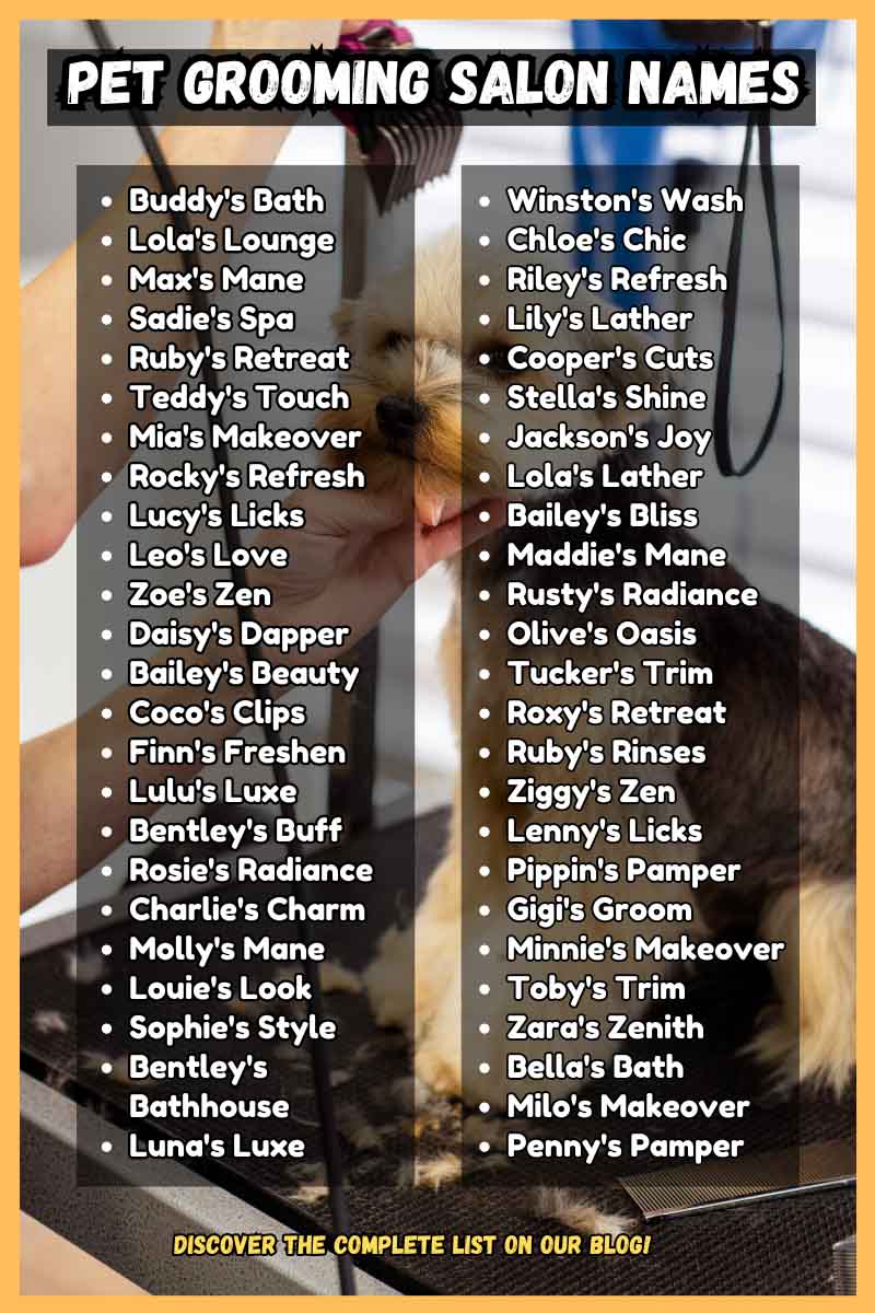 Pet Grooming Salon Names