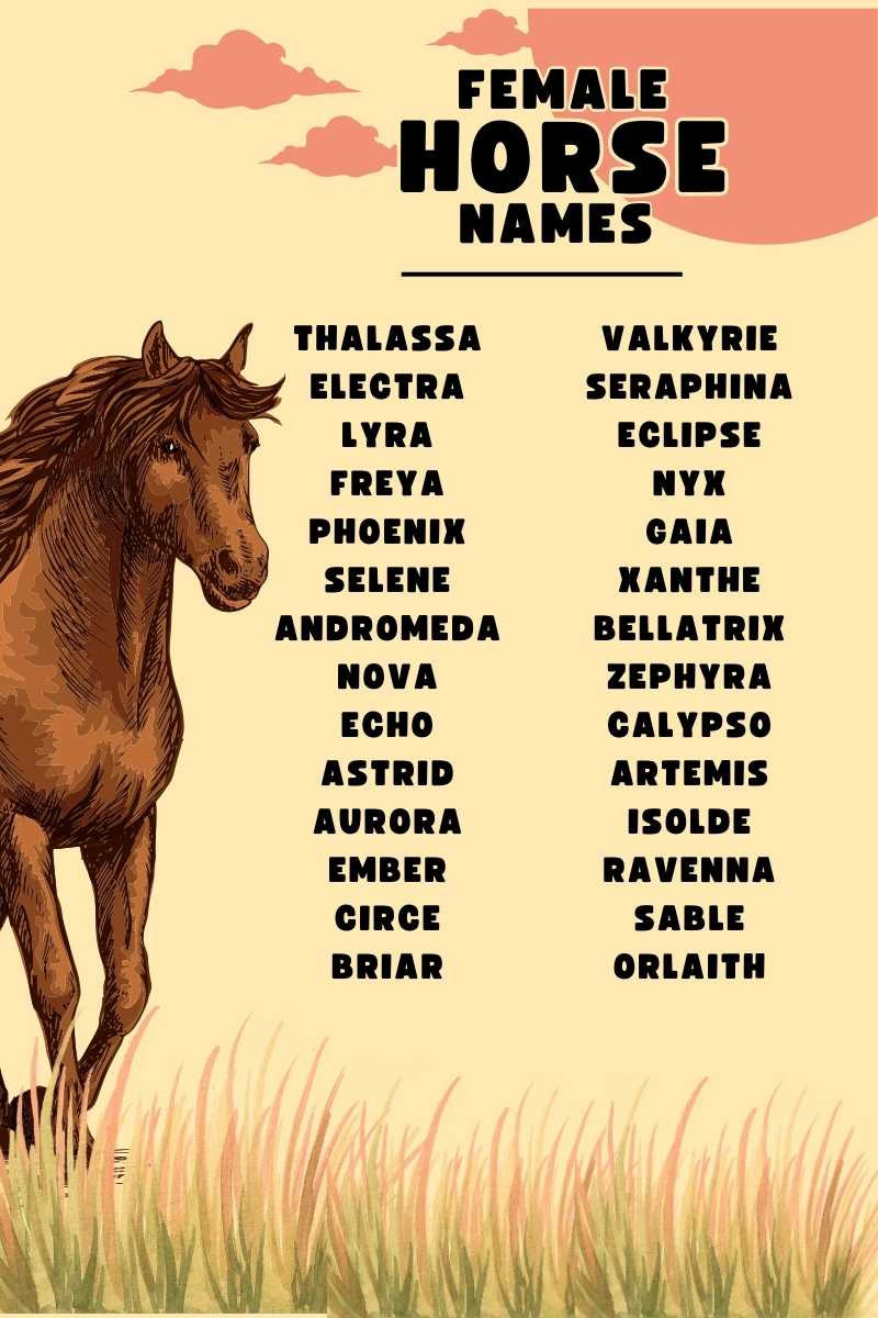 450 Powerful Female Horse Names Packed with Meaning