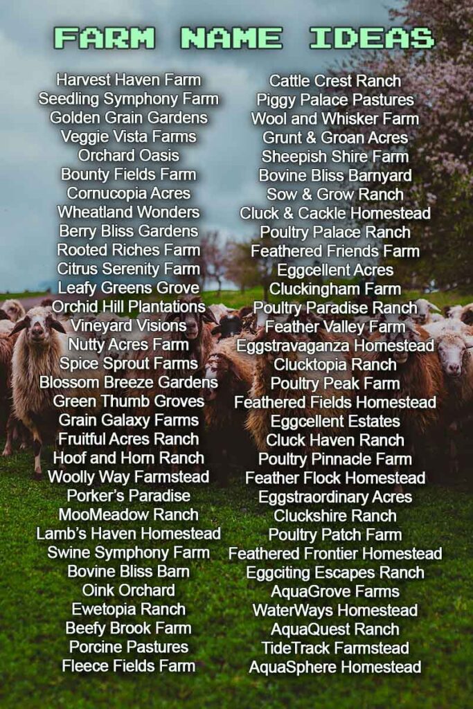 Catchy and creative Farm Name Ideas