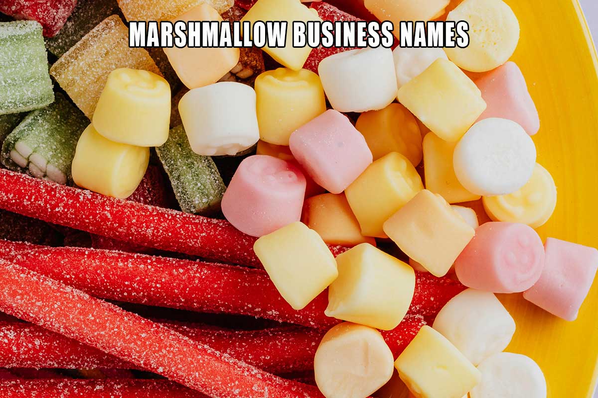 Cute Marshmallow Business Names To Sweeten Your Brand