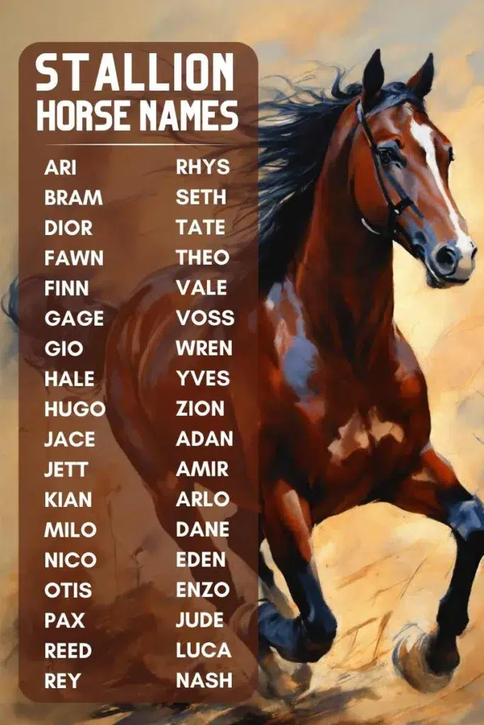 300+ Strong and Unique Male Horse Names with Meanings