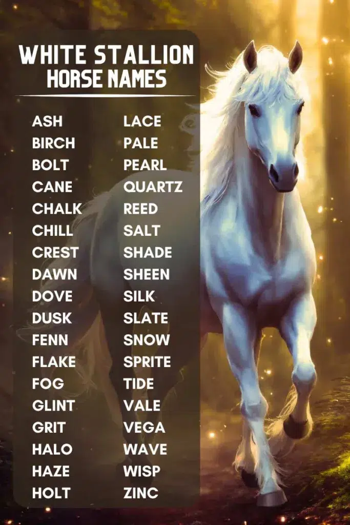 White male horse names