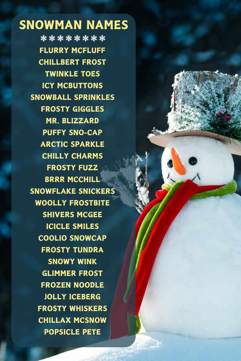 Adorable and Funny Snowman Names With Meaning