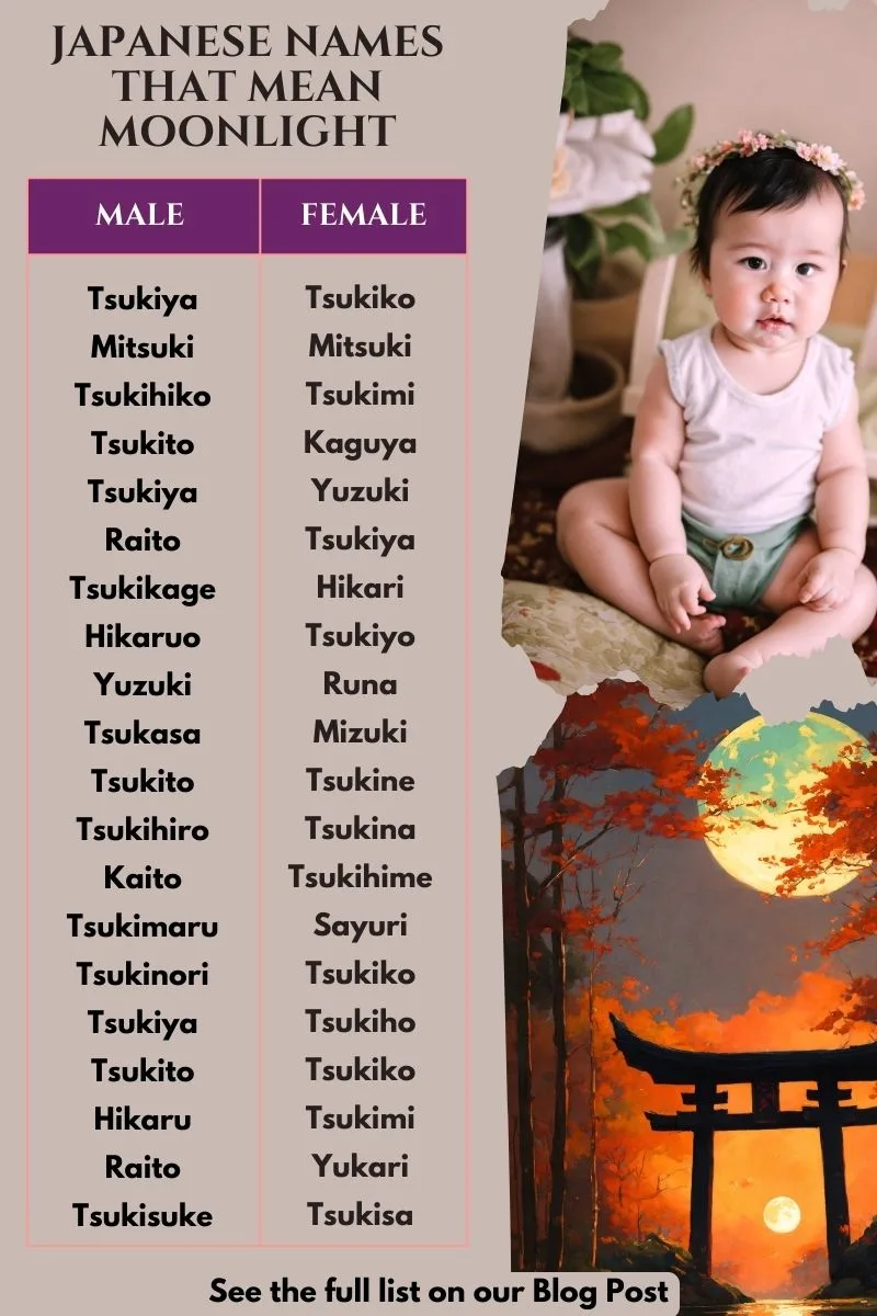 Japanese Names That Mean Moonlight